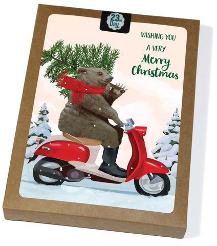 Scooter Bear Boxed Holiday Cards