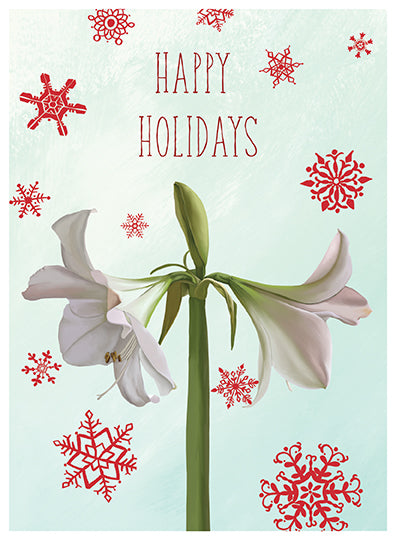 White Amaryllis