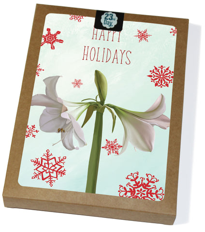 White Amaryllis Boxed Holiday Cards