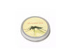 Mosquito Snarky Candle