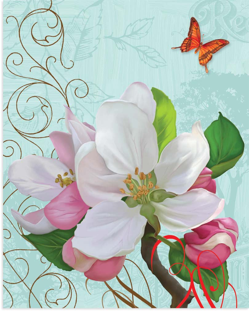 Apple Blossom