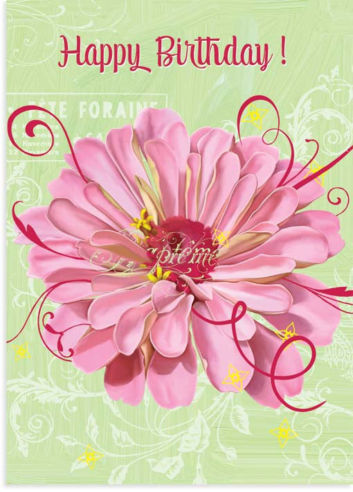Pink Zinnia Birthday