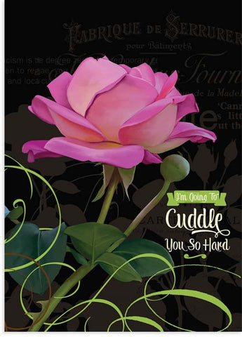 Cuddle Rose