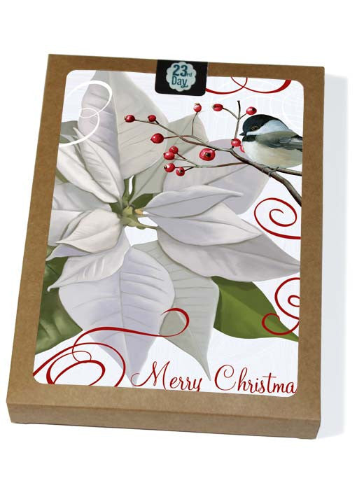 White Poinsettia Boxed Cards