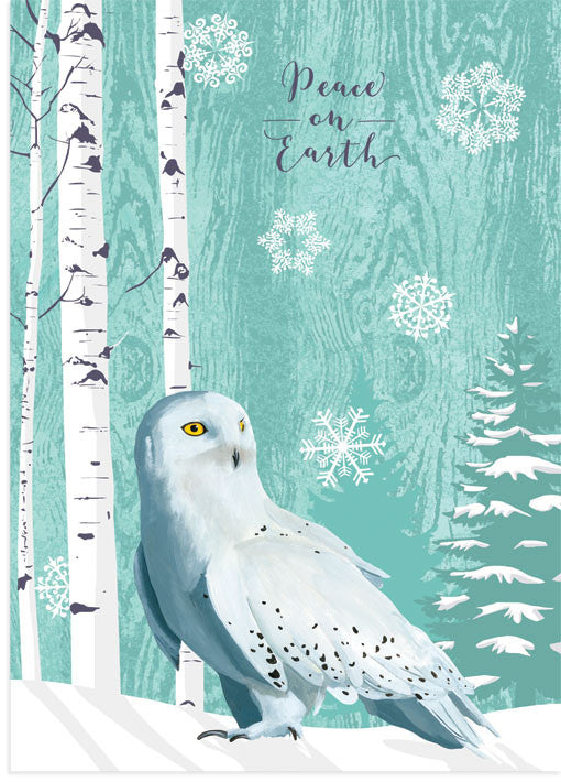 Snowy Owl