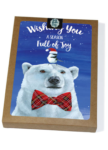 Polar Bear Boxed Cards