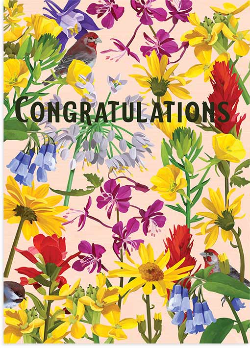 Colorado Wildflowers Congrats