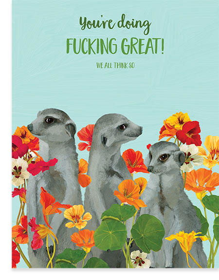 Fing Great Meerkats