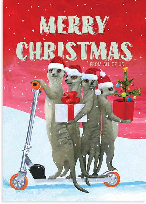 Christmas Meerkats