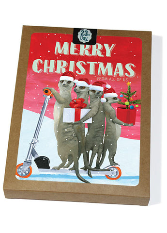 Christmas Meerkats Boxed Cards