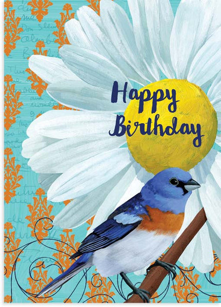 White Daisy Birthday